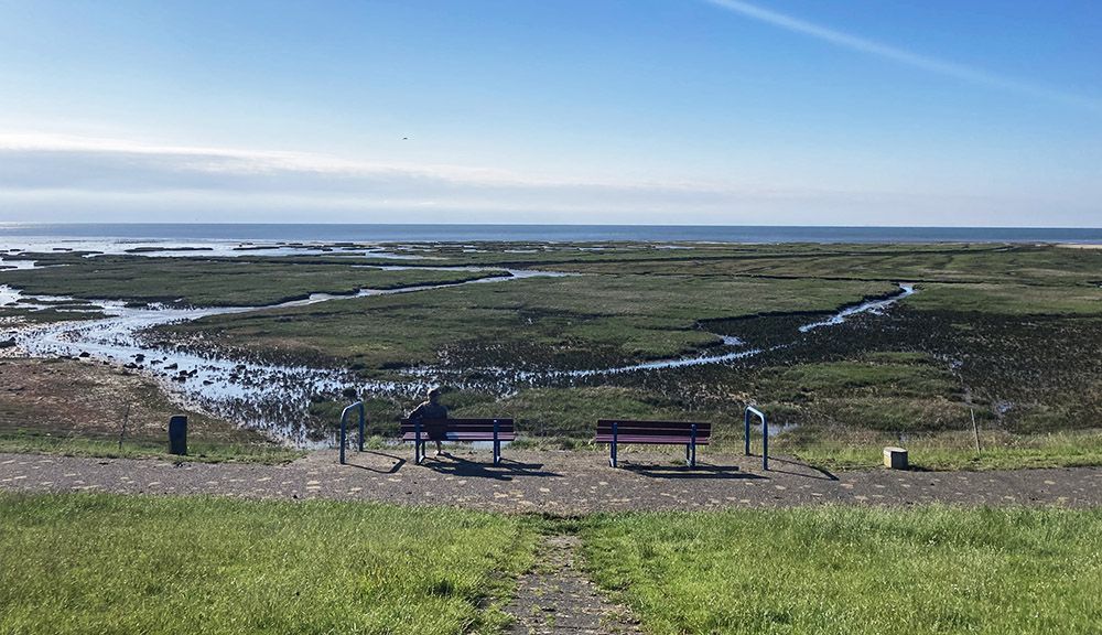 Uitzicht op het wad