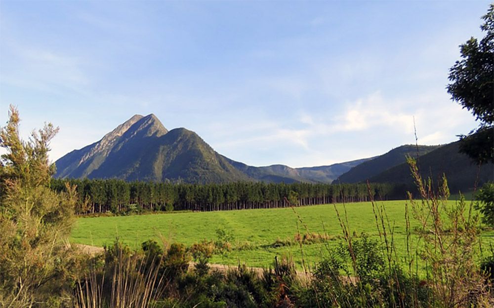 Berg in Tsitsikamma National Park