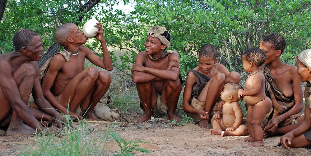 Stam in Botswana, zuidelijk Afrika