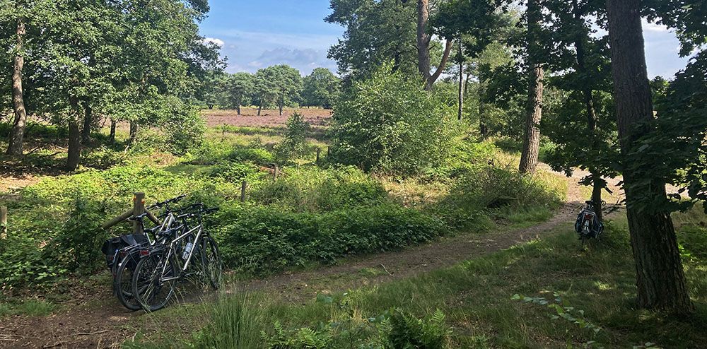 Fietsenstalling in de natuur