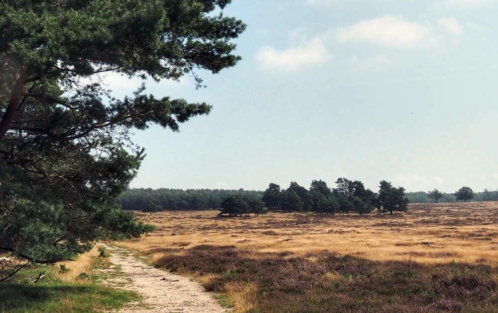 Kleine Heide