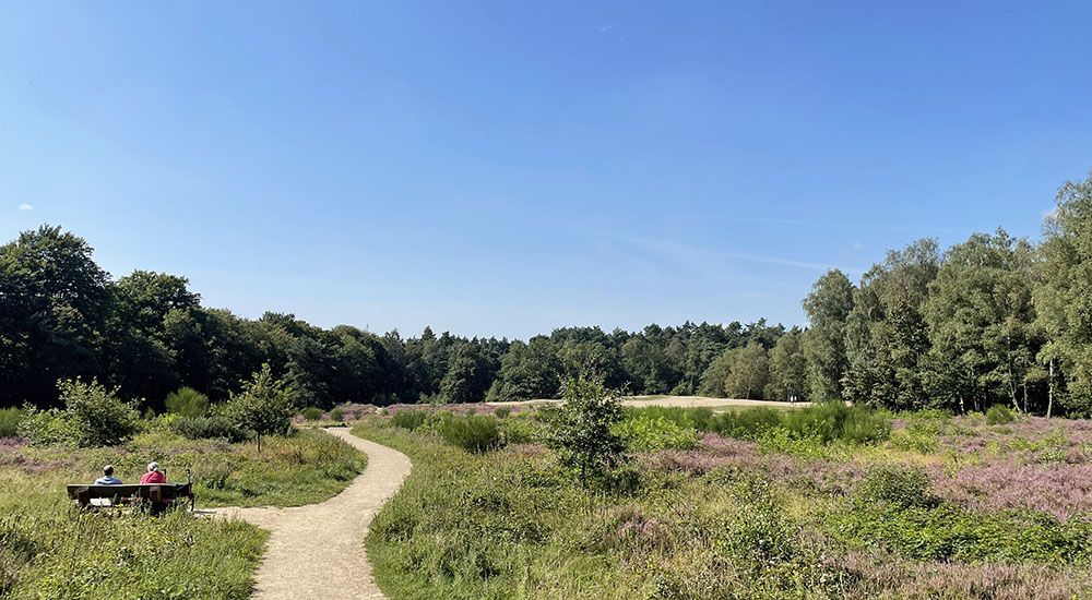 Bankje op de Helena heuvel