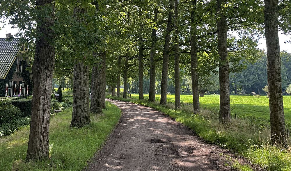 Boerderij aan landweg