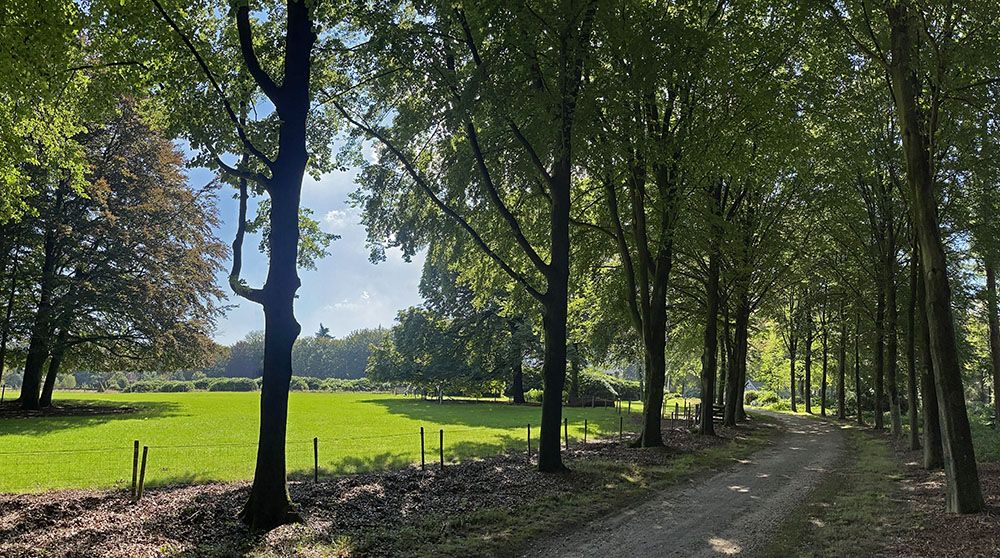 Oprijlaan naar Huis te Maarn