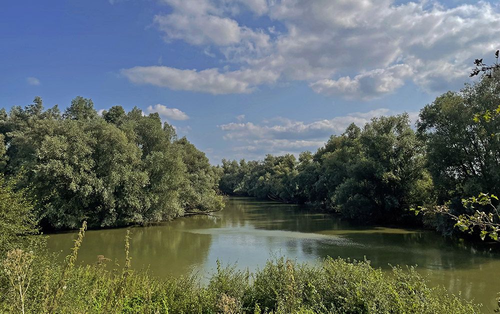 Blauwe Kamer bij Rhenen