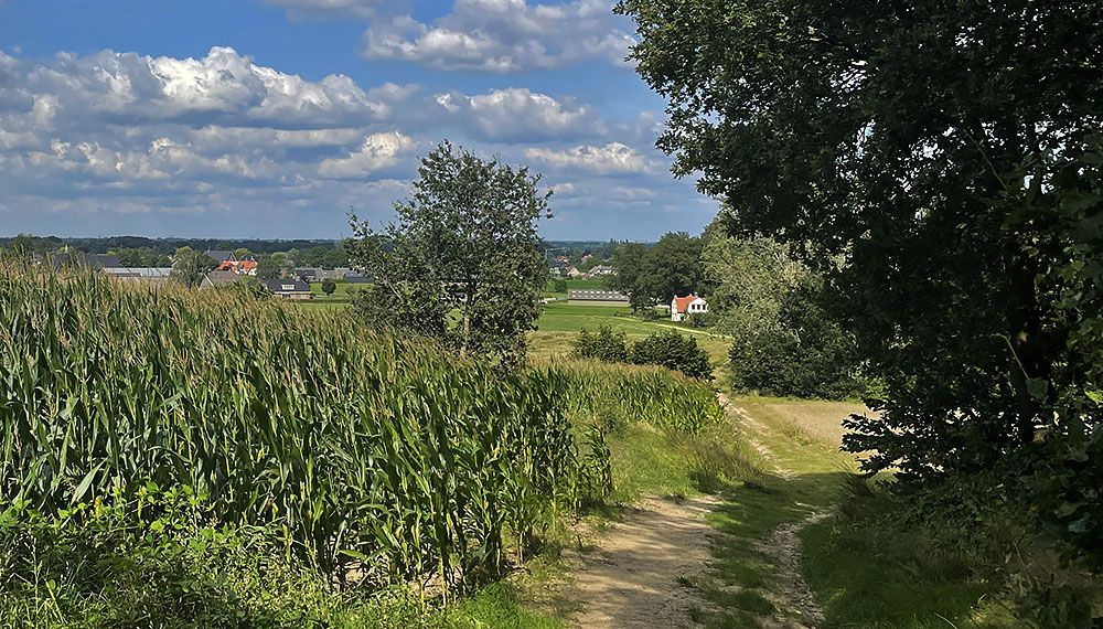 Laarsenberg bij Rhenen