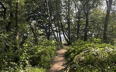 Ongekend mooie bergwandeling bij Rhenen