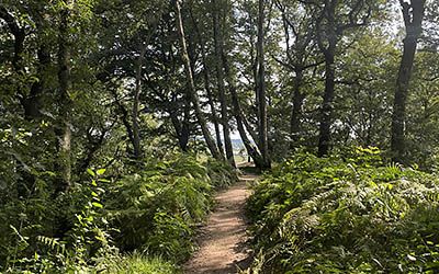 Ongekend mooie bergwandeling bij Rhenen