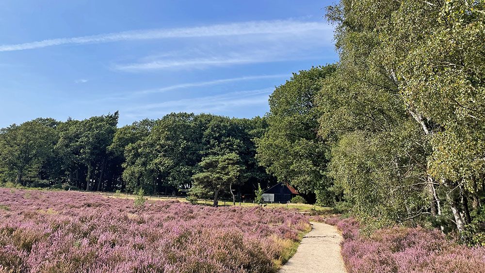 Schuur op het landgoed van Palthe