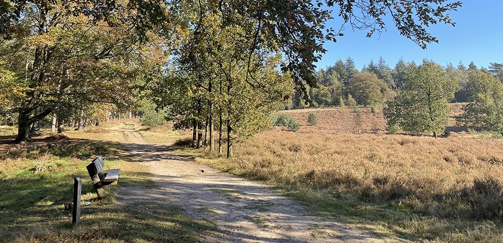 Bankje bij de heide