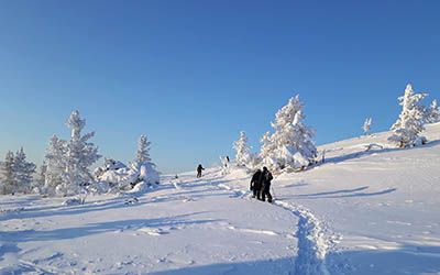 De beste wintersportgebieden in Fins Lapland