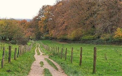 N70-wandelroute in het Rijk van Nijmegen is een echte aanrader