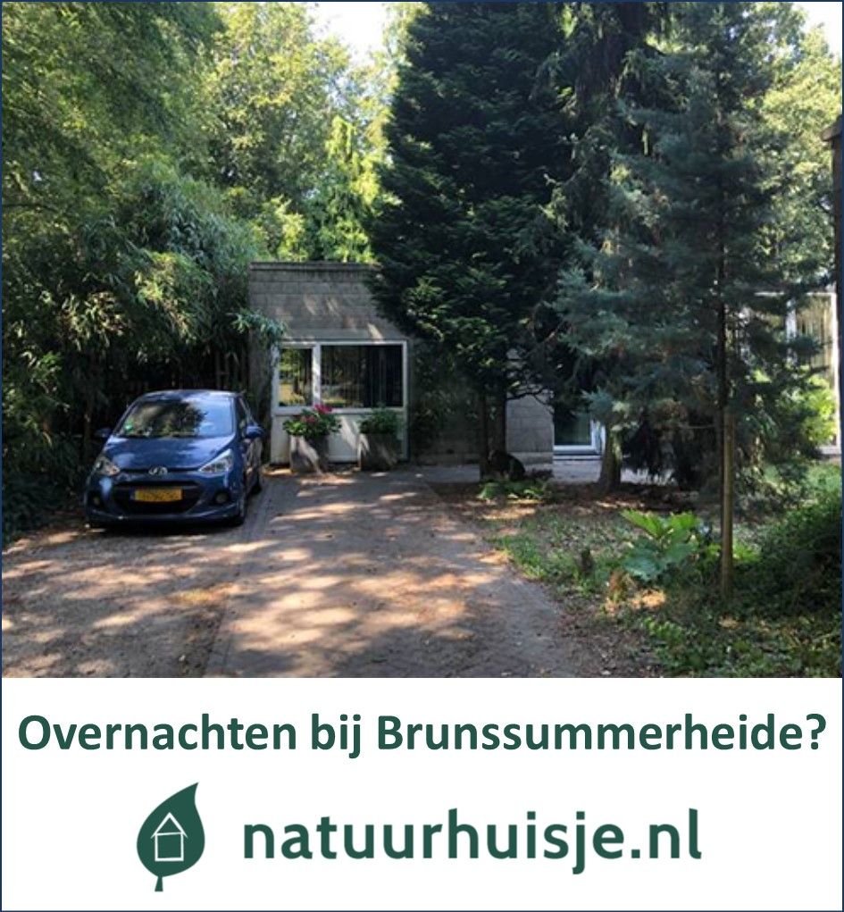 Brunssummerheide