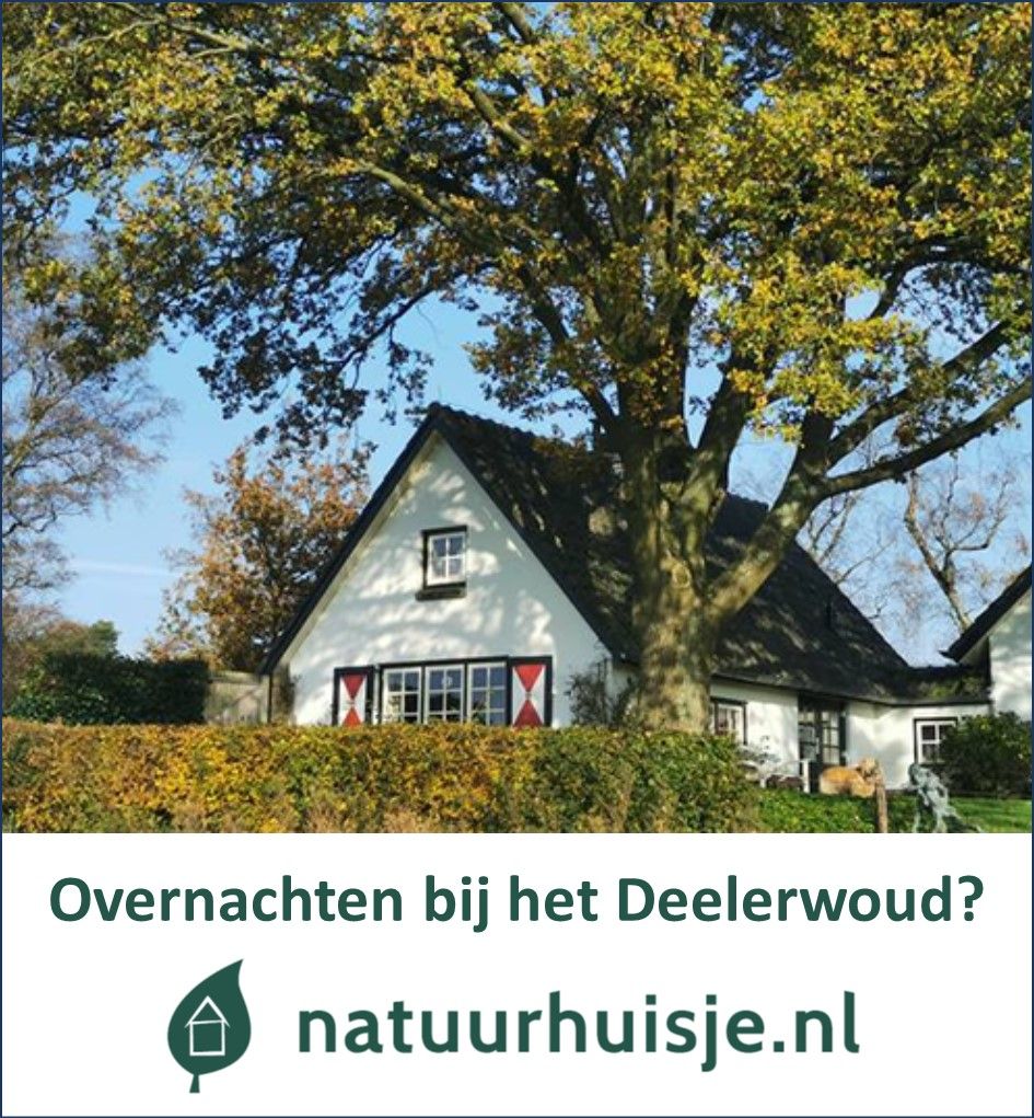 Deelerwoud