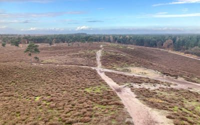 Wandeling vanuit Afferden door Maasduinen en Bleijenbeek