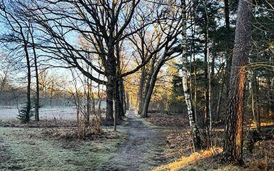 Variatie troef bij de Trage Tocht Den Dolder