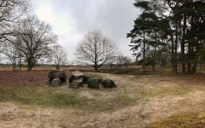 Trage Tocht Gasteren in het Nationaal Park Drentsche Aa