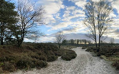 Afwisselende Stulp- en kasteeltuinwandeling bij Lage Vuursche