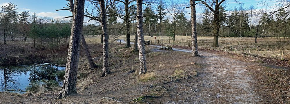 Heide met vennetje