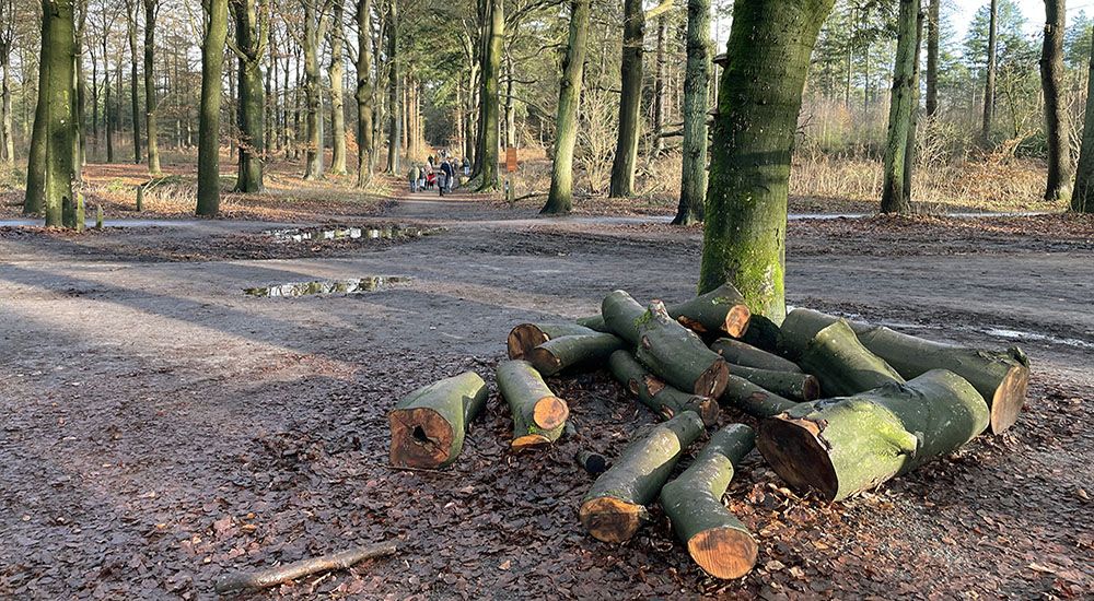 Wandelaars bij het startpunt