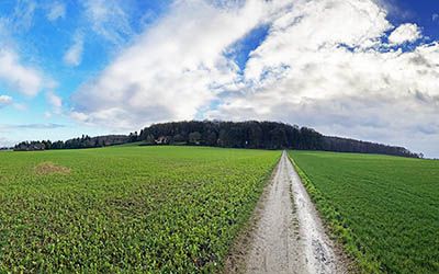 Grensoverschrijdende wandeling door het Duitse Reichswald