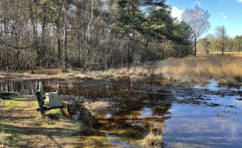 Bankje aan de heide