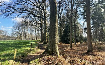 Onvervalst heerlijke wandeling bij het landelijke Achterveld