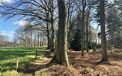 Onvervalst heerlijke wandeling bij het landelijke Achterveld