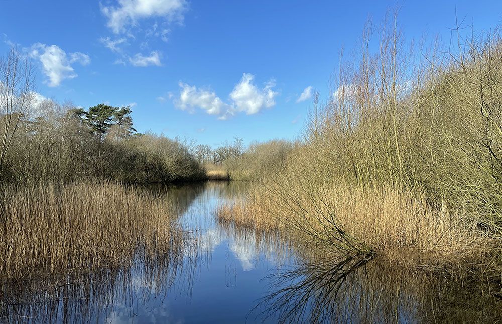 Waterrijk landgoed