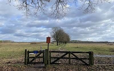 Unieke, avontuurlijke wandeling bij Renkum en Heelsum