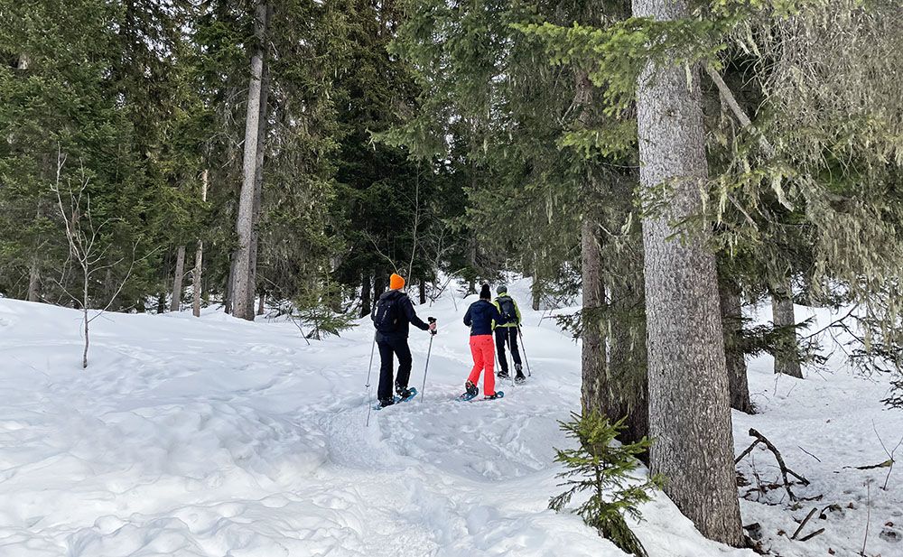 Sneeuwschoenwandeling