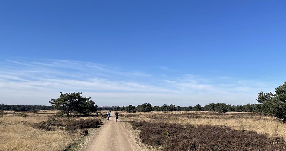 Uddelsche Buurtveld