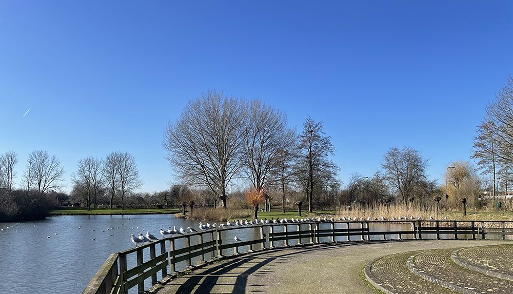 Stadspark