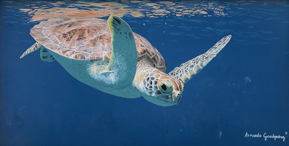 Muurschildering van een zeeschildpad