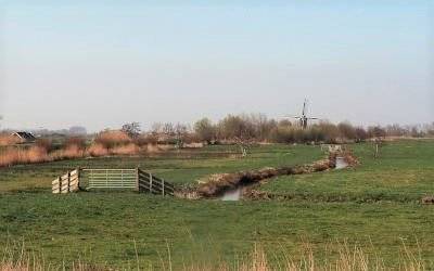 Wandeling bij Kockengen door het Groene Hart