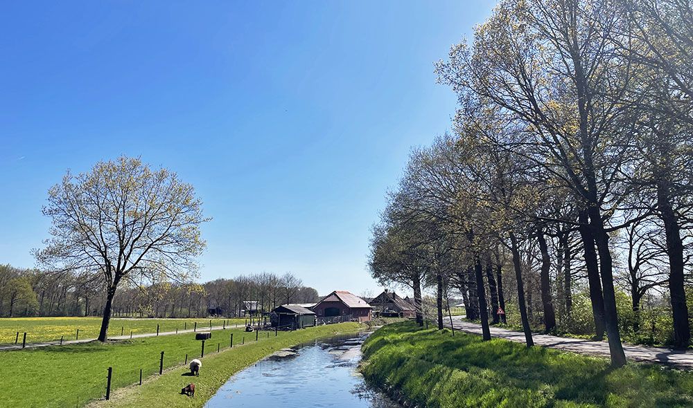 Wandelen door boerenland