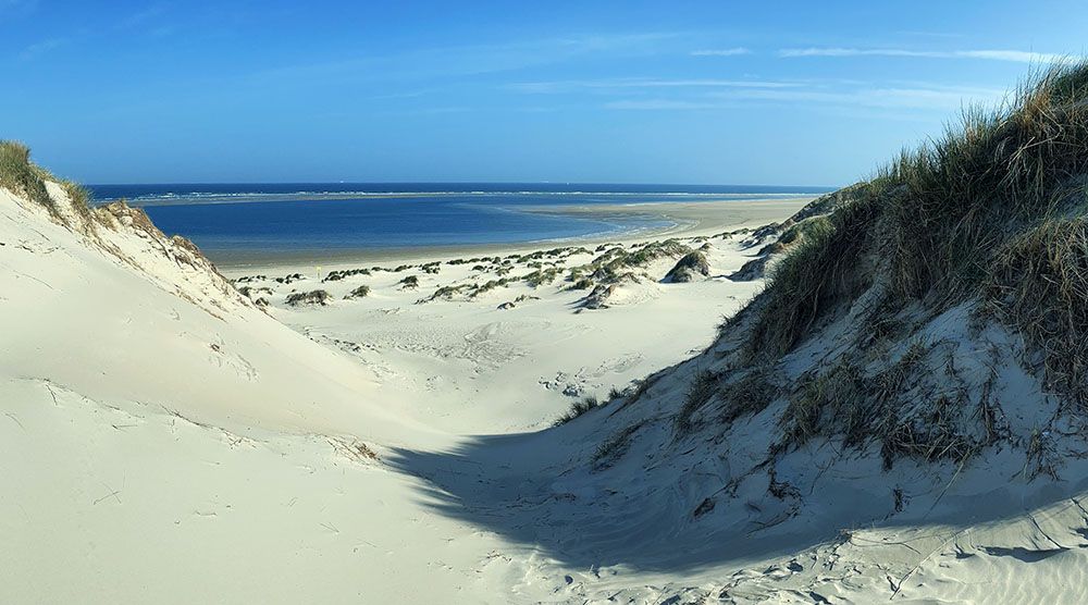 Duinen