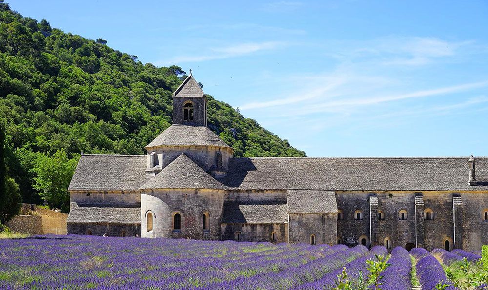 Lavendel bij een abdij