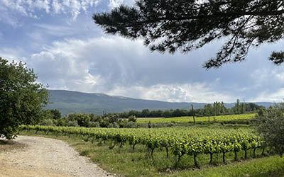 Ultiem fietsplezier in de Provençaalse Vaucluse