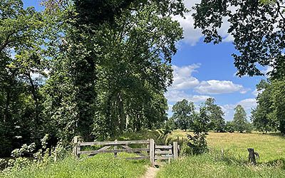 Kasteelwandeling door het boerenland bij Heeswijk-Dinther