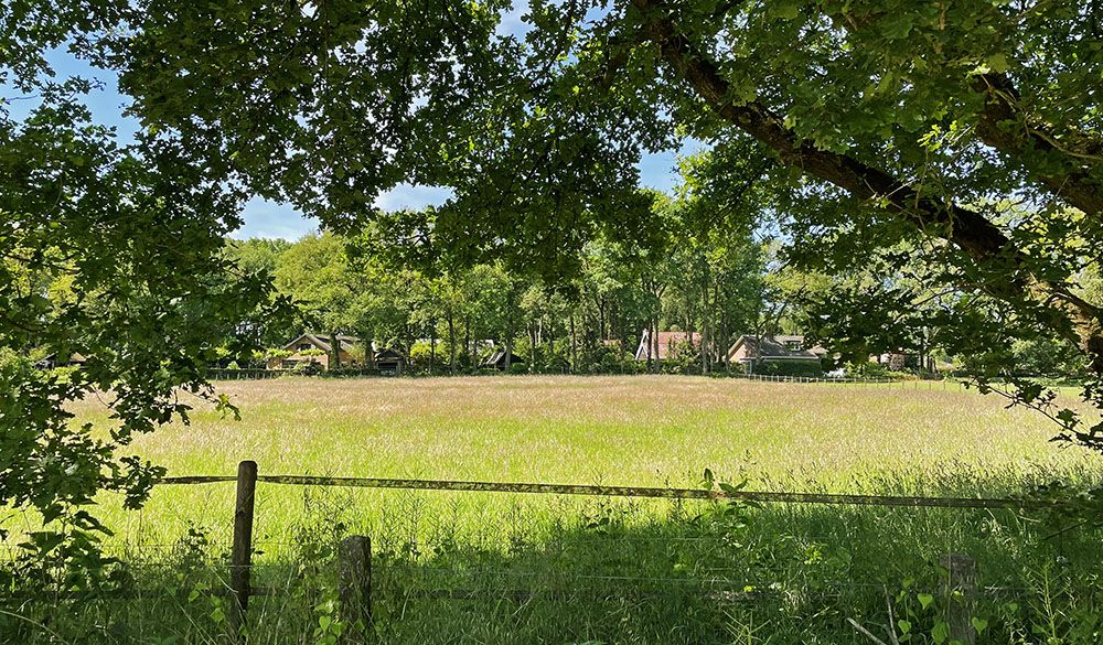 Boerderijen