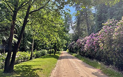 Prachtige wandeling bij Lunteren, het Middelpunt van Nederland