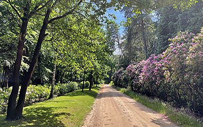 Prachtige wandeling bij Lunteren, het Middelpunt van Nederland