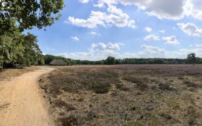 Fietstocht door het Gooi en langs de heide