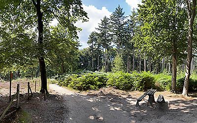 Etappe 2 van de oudste wandelroute van Nederland