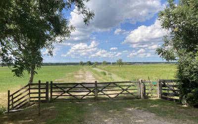 Wandeling over het Vredelantsepad bij Vreeland