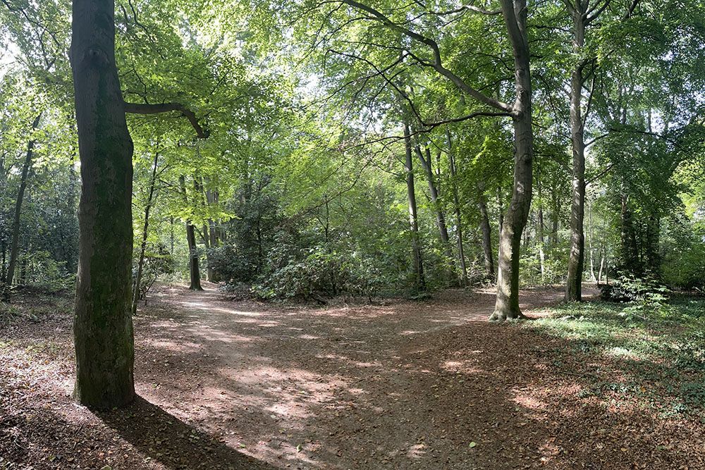 Park in Heelsum