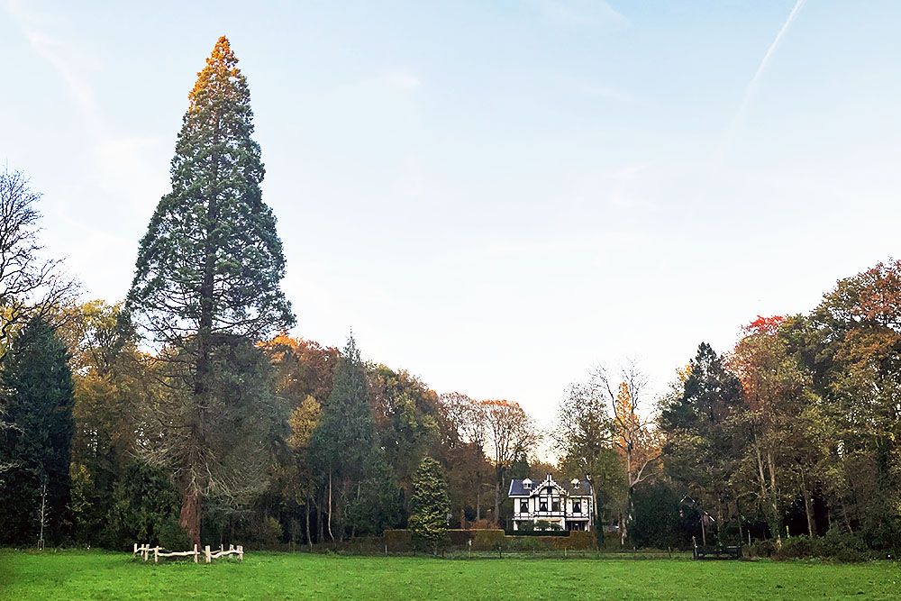 Park met landhuis