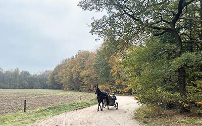 Korte, cultuurhistorische wandeling door landgoed Schovenhorst