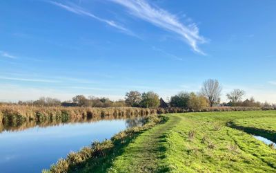 Trage Tocht Waverveen: een prachtige wandeling